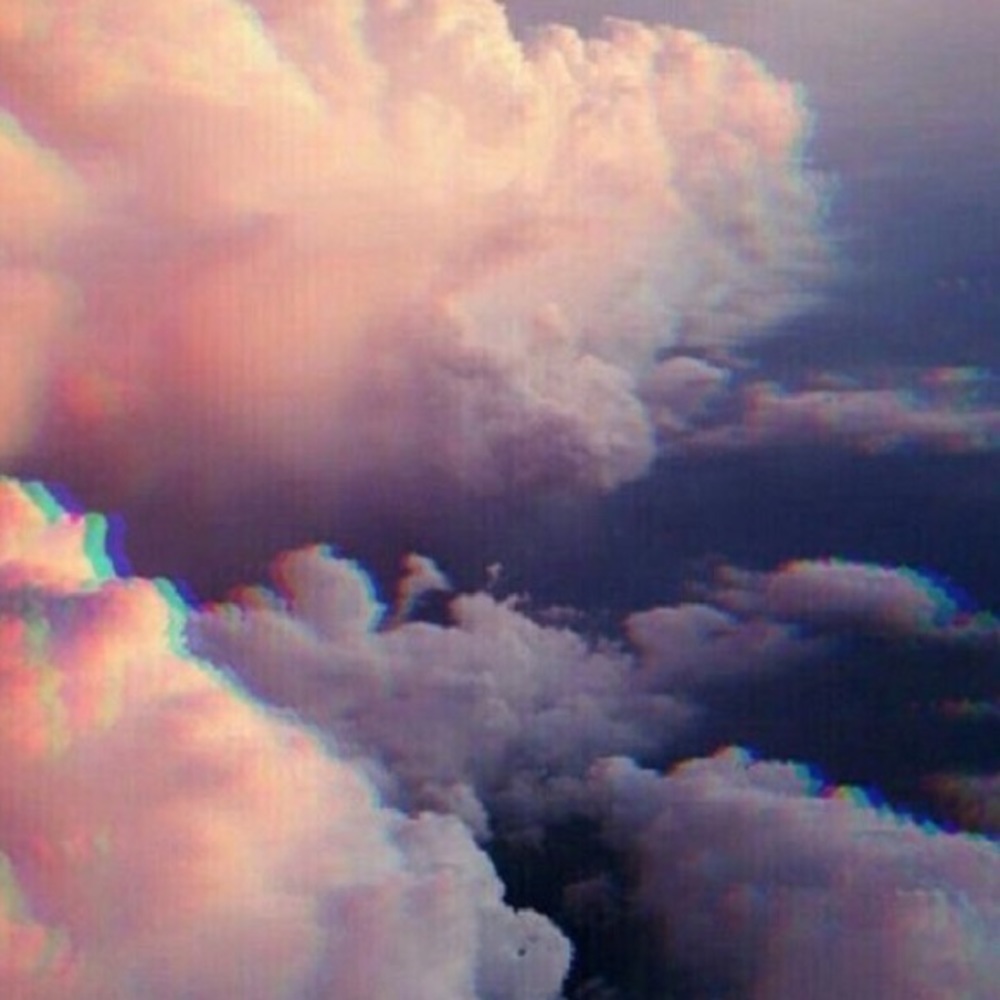 Meet your Posher, Ella